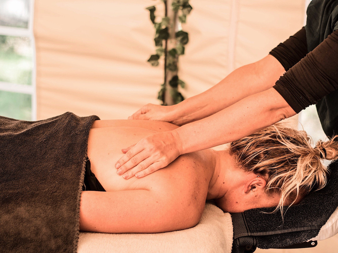 TSE The Surf Experience主图