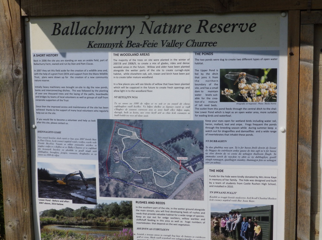 Ballachurry Nature Reserve-Port Erin必去景点