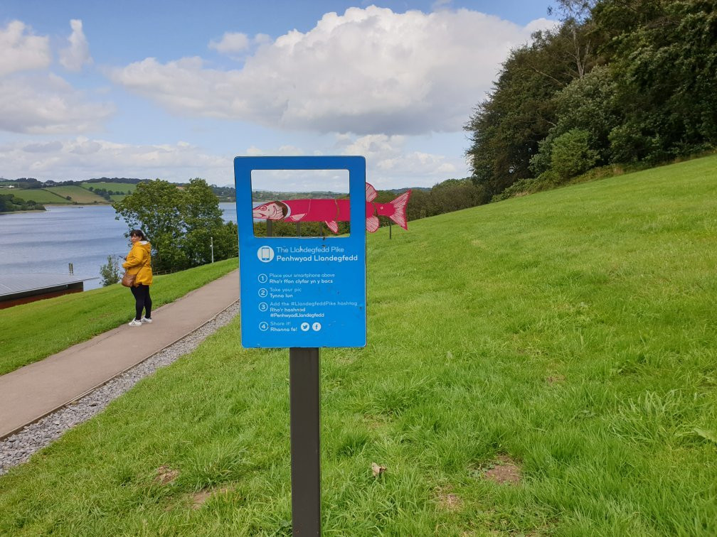 Llandegfedd Reservoir景点图片