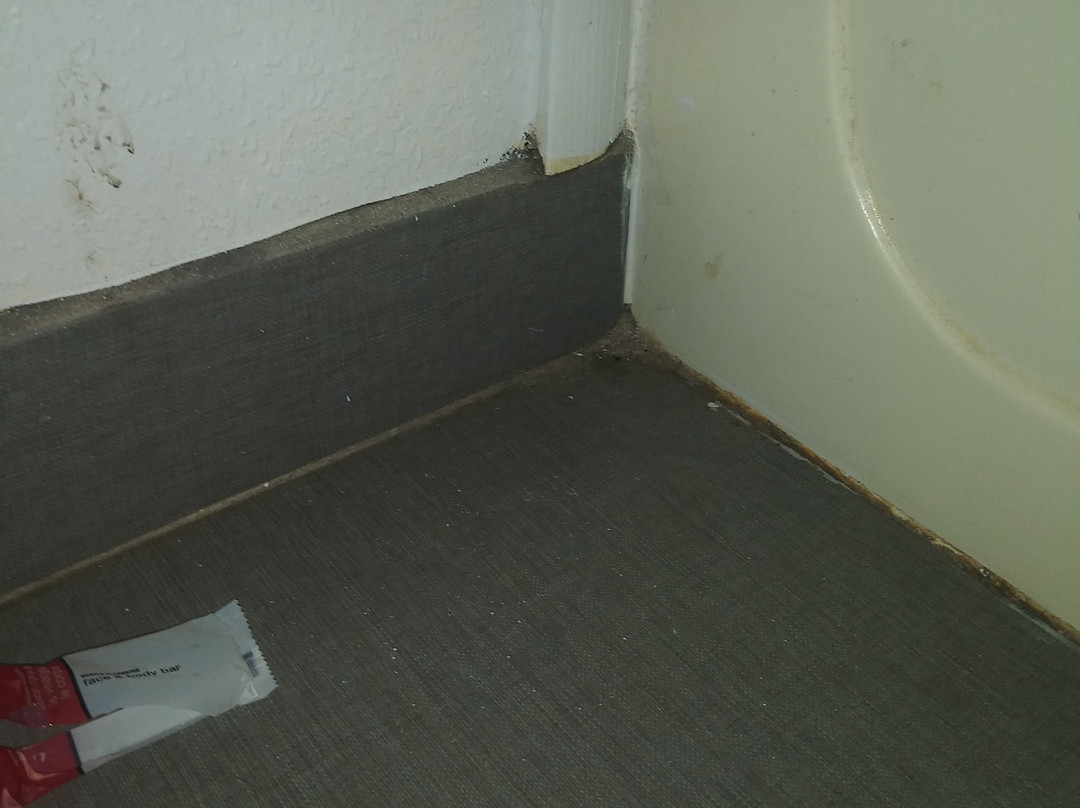 Days Inn by Wyndham Enterprise主图