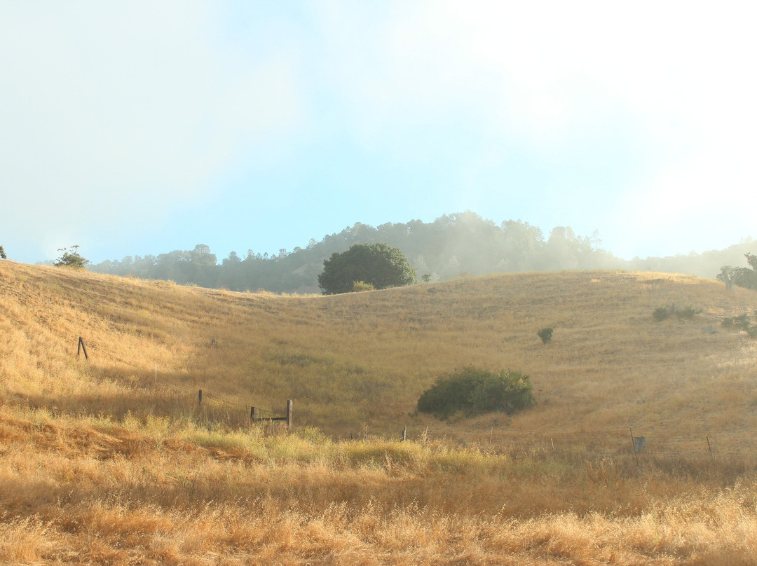 RustRidge B&B / Winery主图