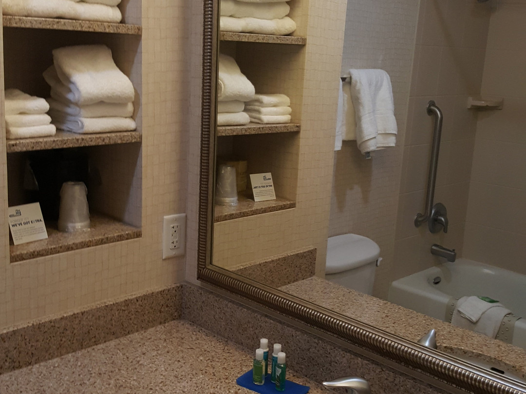 Holiday Inn Express & Suites Twin Falls by IHG主图