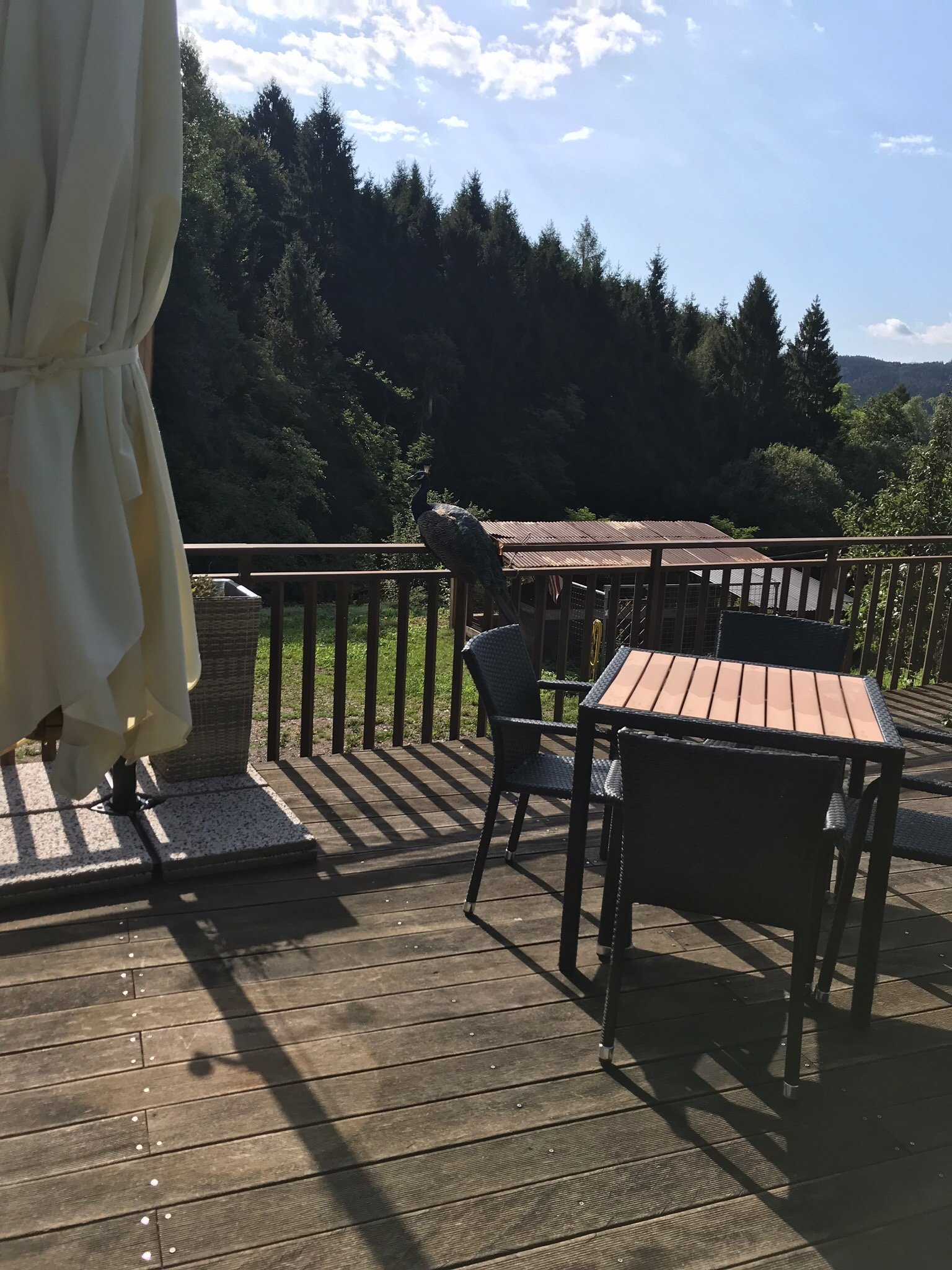 Agritur la Sabbionara-官方