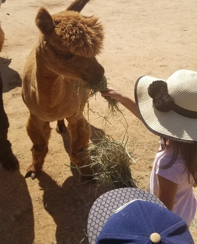 Hollywick Farms-Sandia Park必去景点