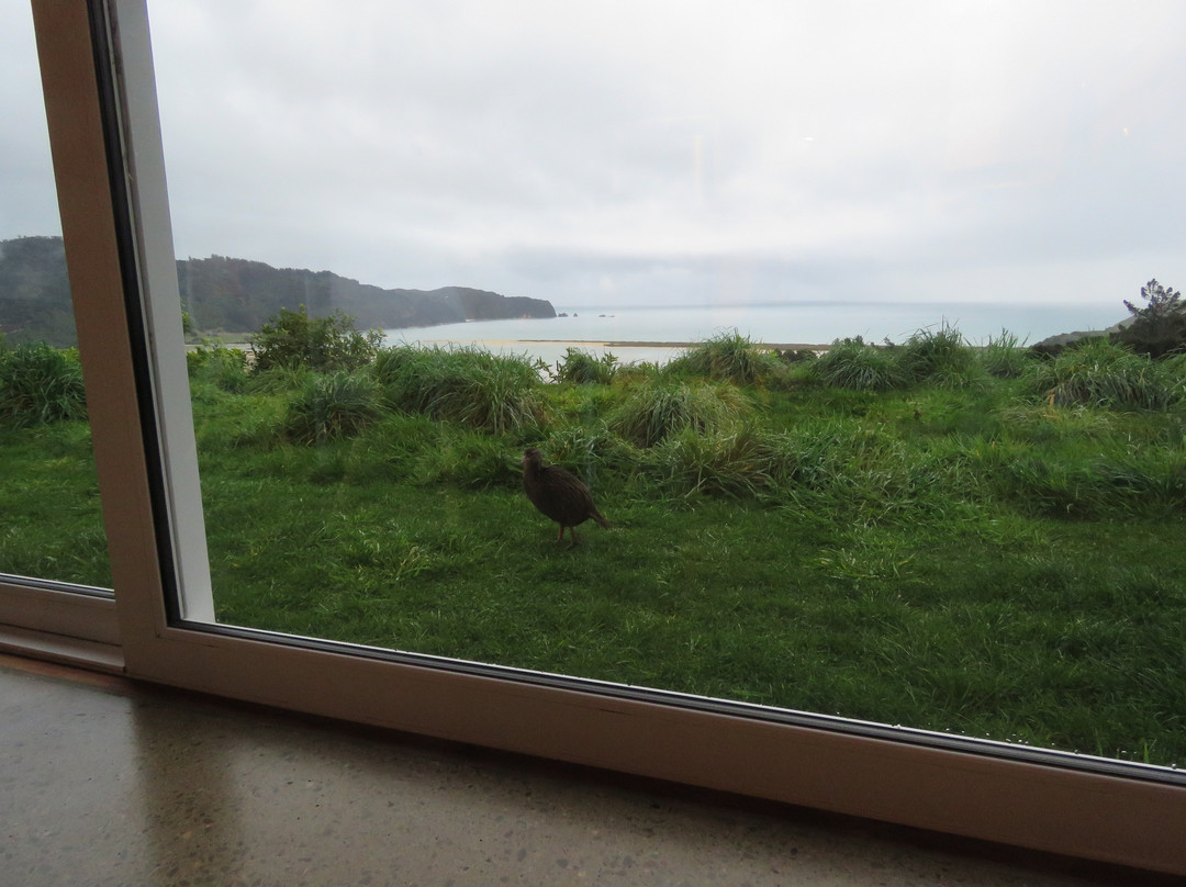 Golden Bay Hideaway