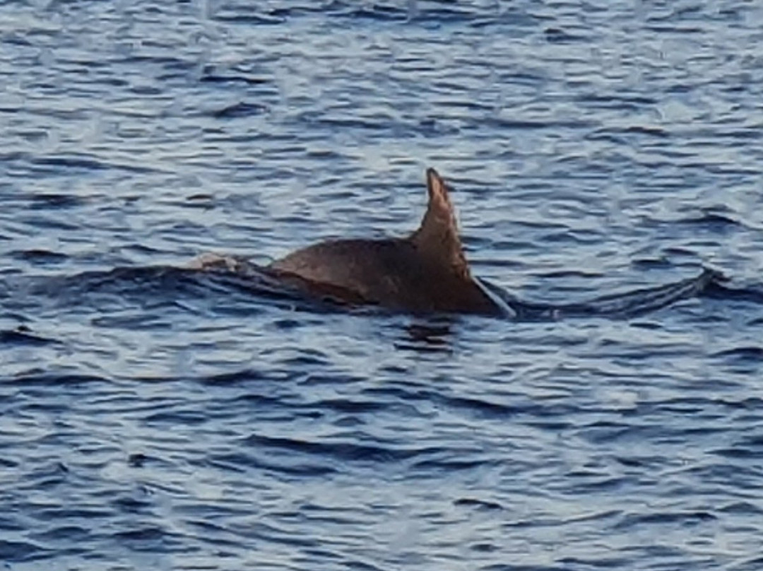 AnaGalebTours-普拉必去景点
