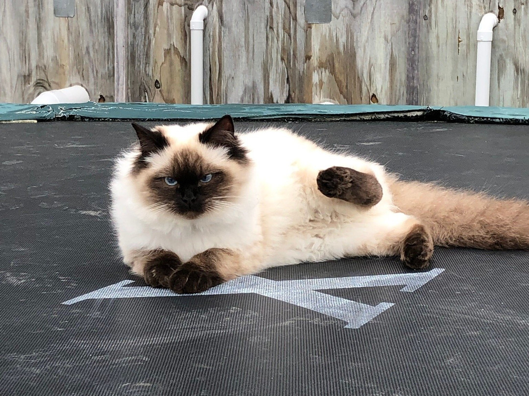 Rangitikei Farmstay主图