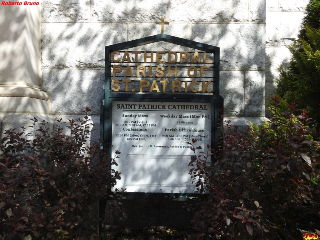 Cathedral of Saint Patrick景点图片