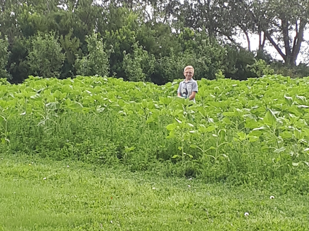 草原花园和冒险农场 -Bon Accord必去景点