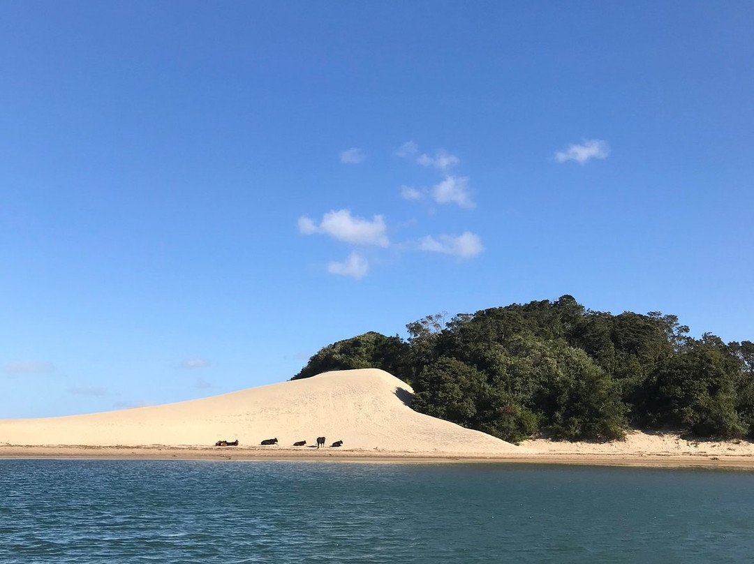 Wild Side Hiking-Port St Johns必去景点