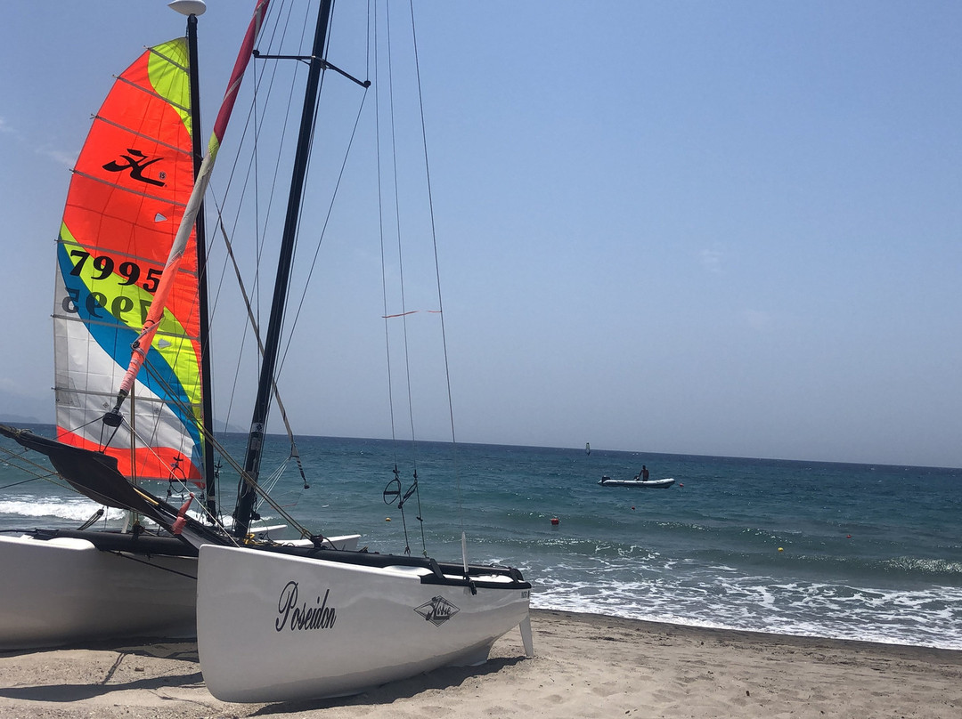 Robinson Daidalos主图