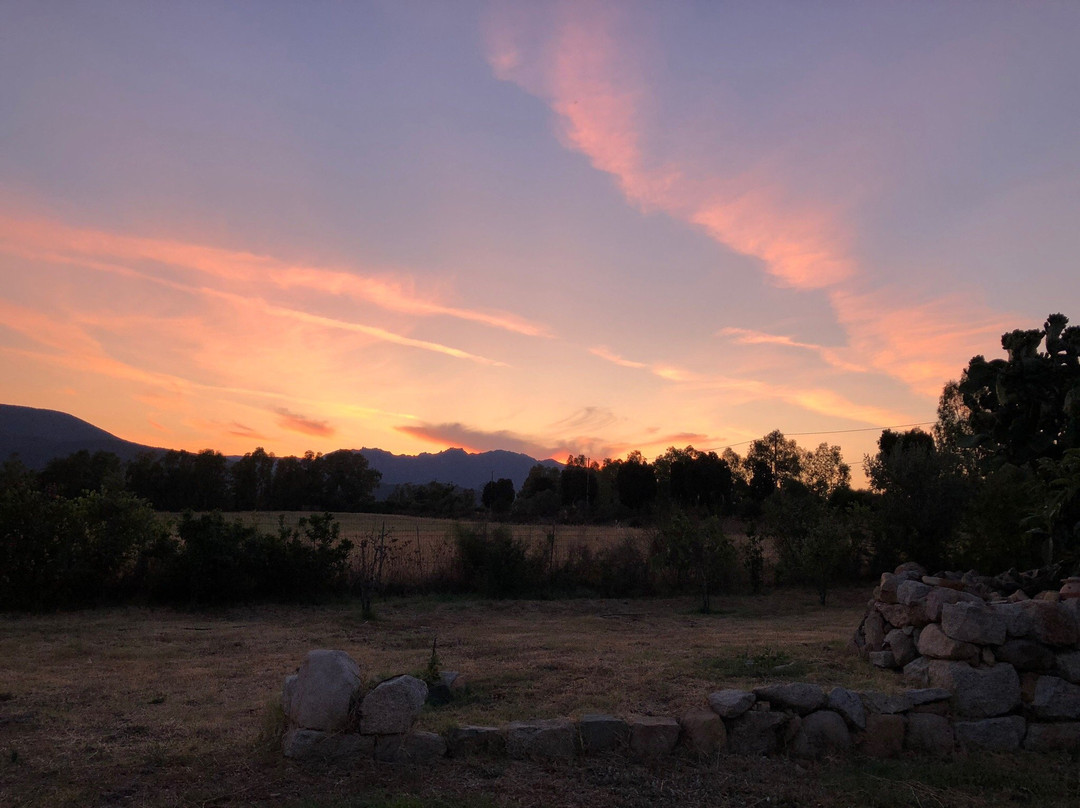 Bed and Breakfast Casale Diletta主图