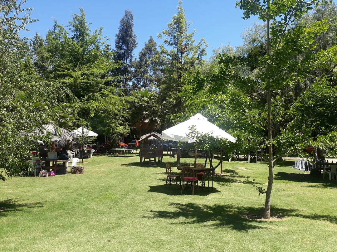 Parque Nacional Las Palmas de Cocalan-Las Cabras必去景点
