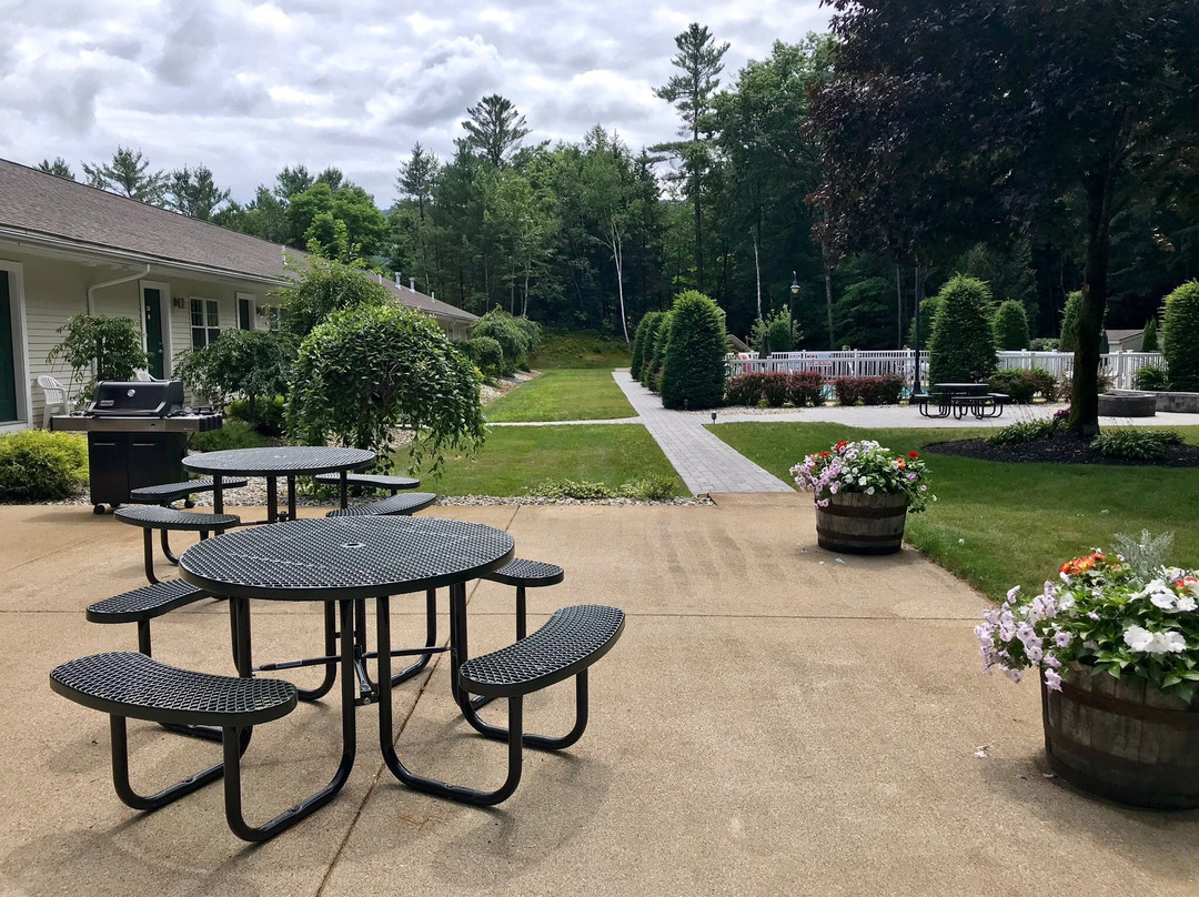 金苹果旅馆主图