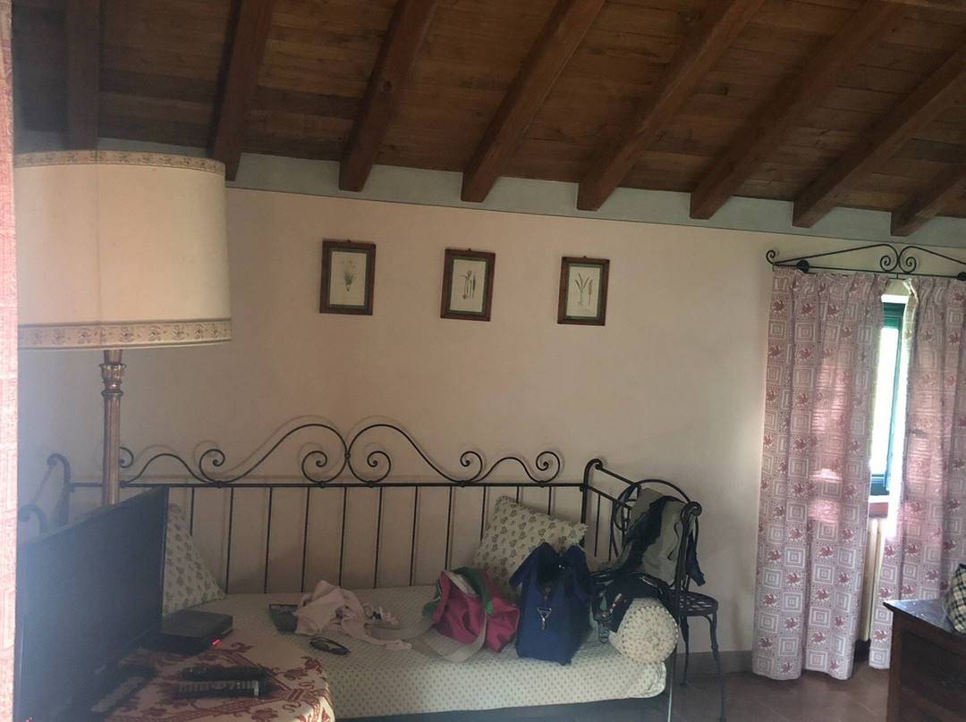 Il Gelso Bianco主图