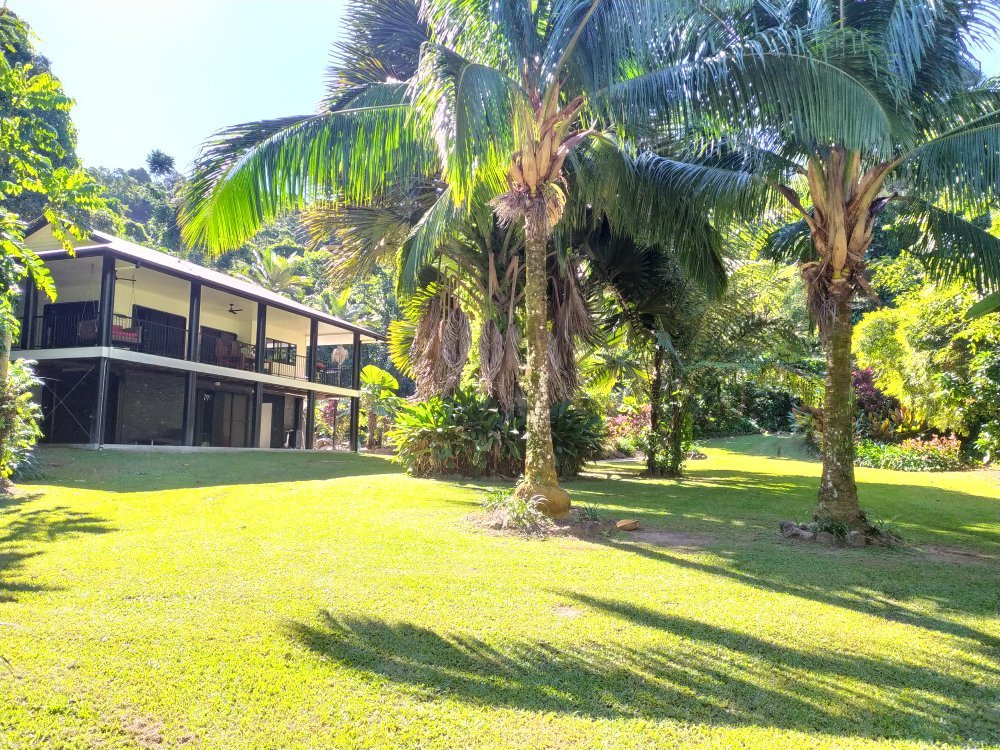 Misty Mountains Tropical Rainforest Retreat主图