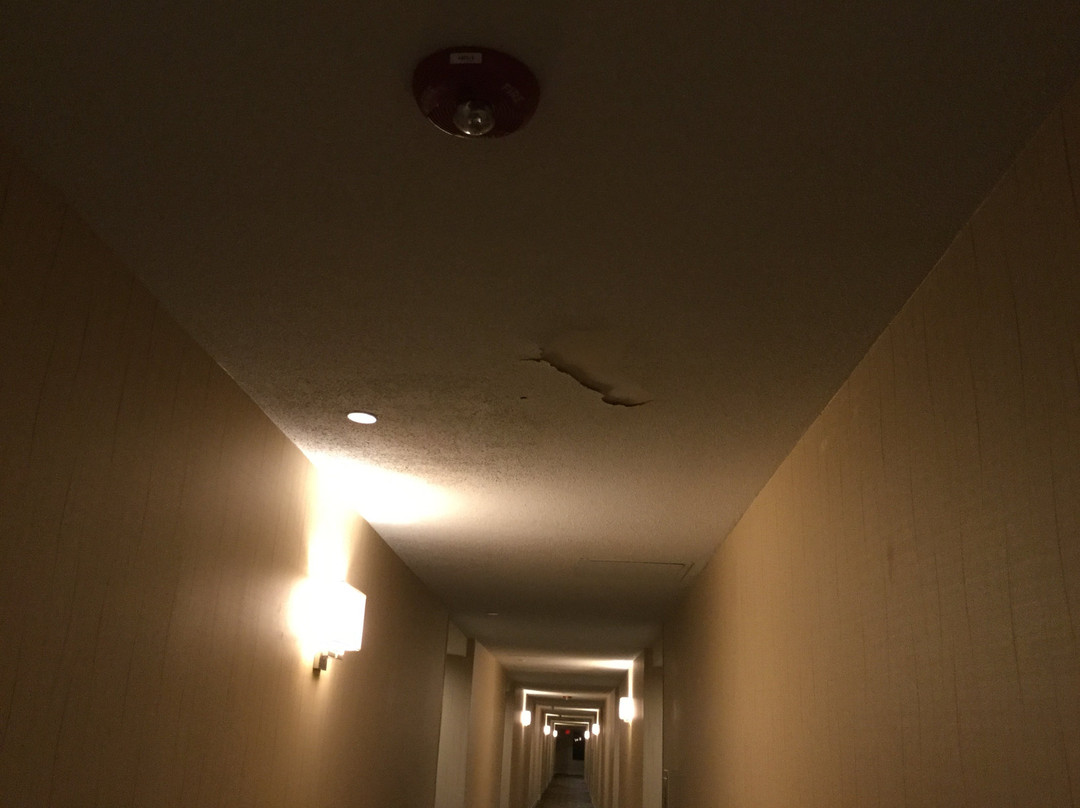 Hyatt Regency Suites Atlanta Northwest主图