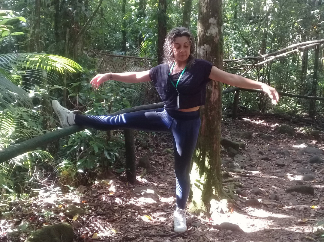 Cachoeira do Paraíso景点图片