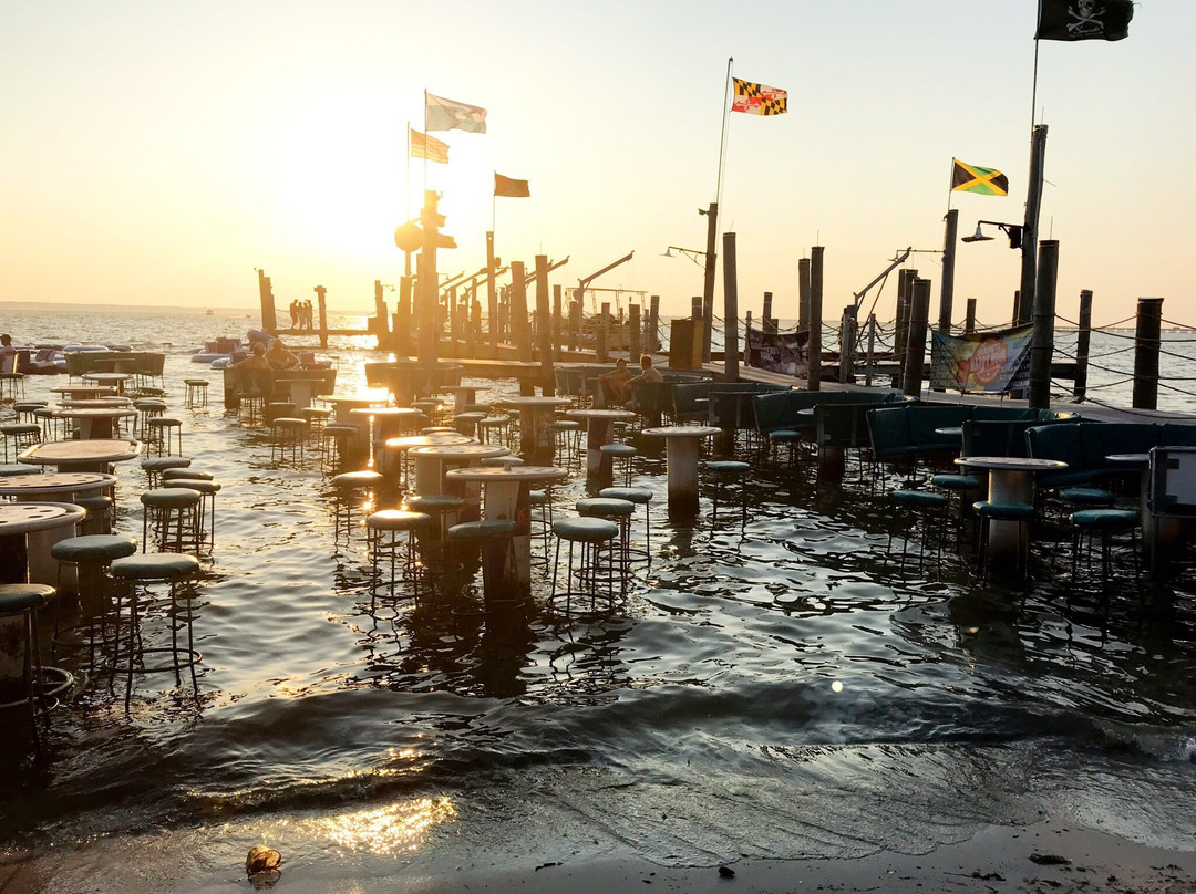 Seacrets Jamaica USA