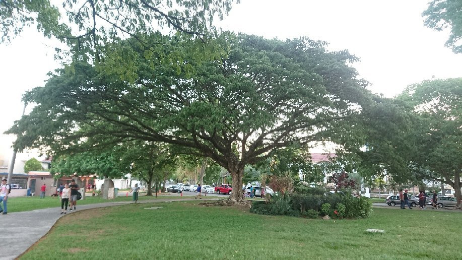 Parque La Choca景点图片
