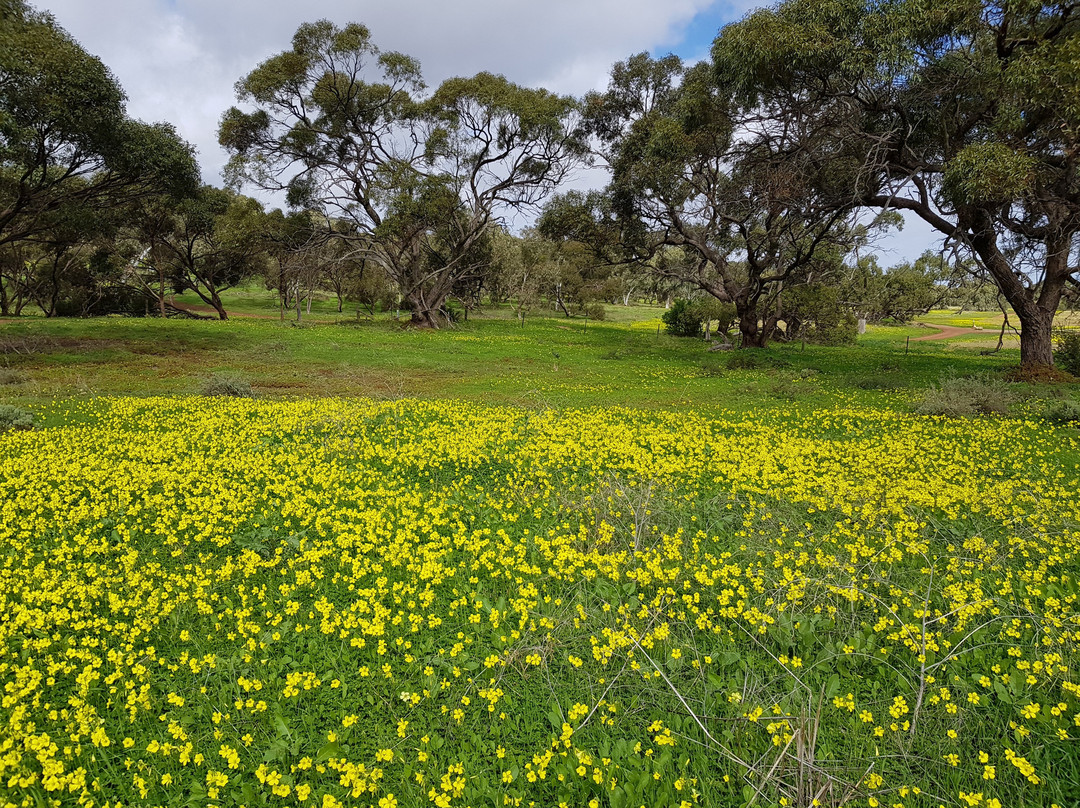 Cobbler Creek Recreation Park景点图片