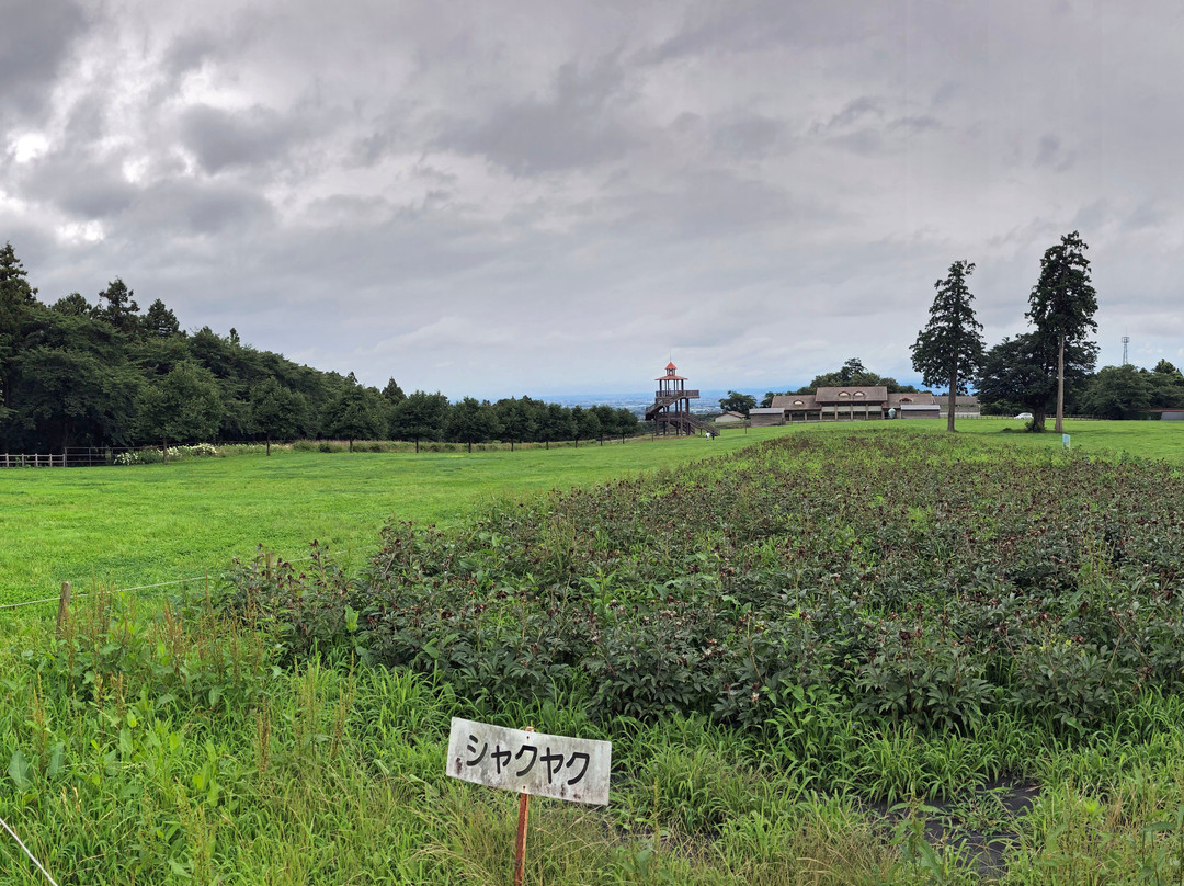 Michi-no-Eki Green Flower Farm Taiko-前桥县必去景点