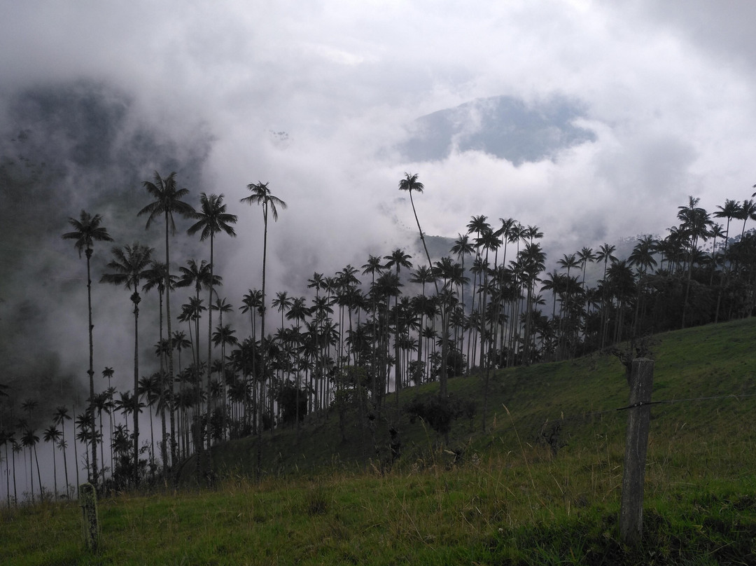 Green Sea Travel-亚美尼亚必去景点