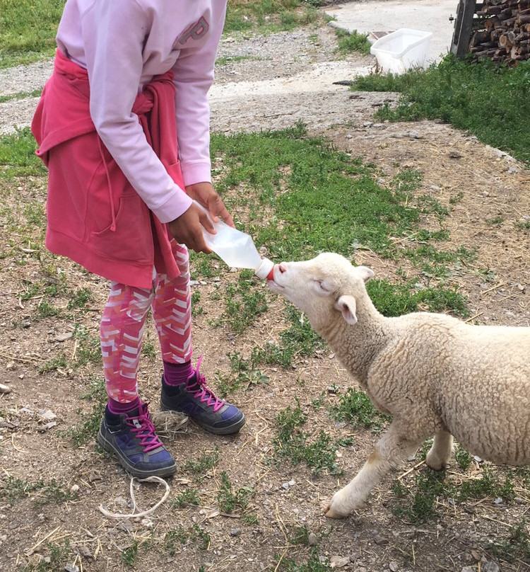 La Ferme du Cugnon-Hauteluce必去景点