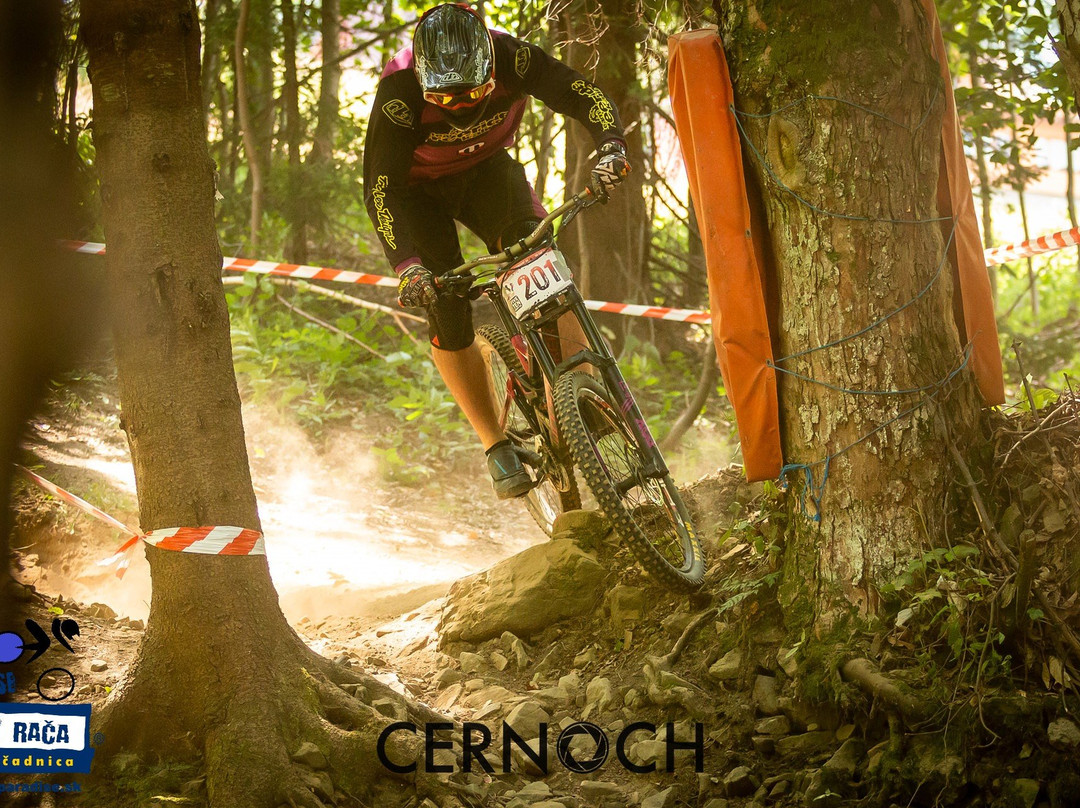 Bike Park Snowparadise Velka Raca-Oscadnica必去景点