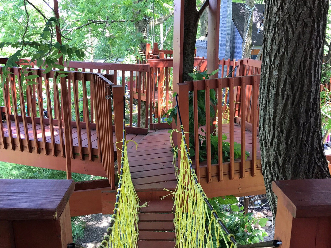 Tree Creations in Geneseo-Geneseo必去景点