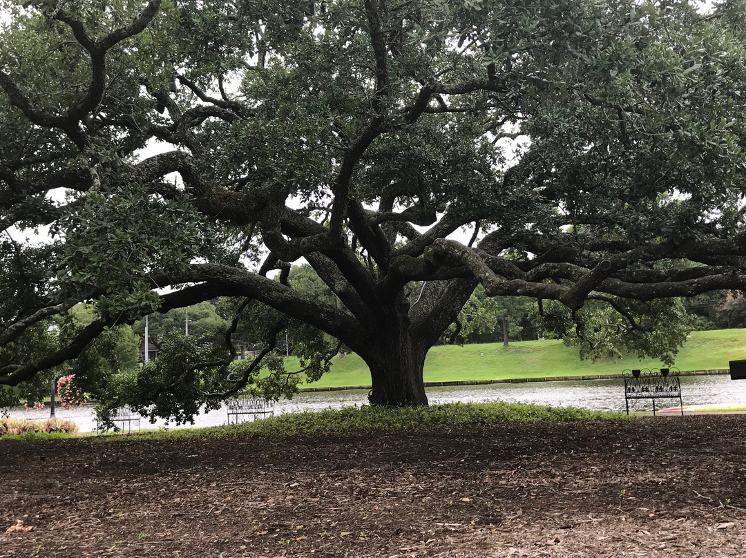 Roque House-纳基托什县必去景点