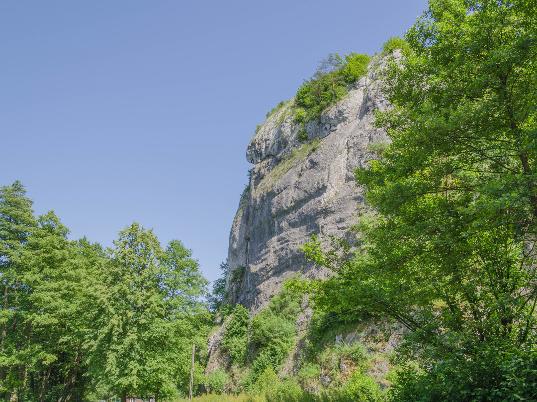 Rezerwat przyrody Zimny Doł-Czułow必去景点