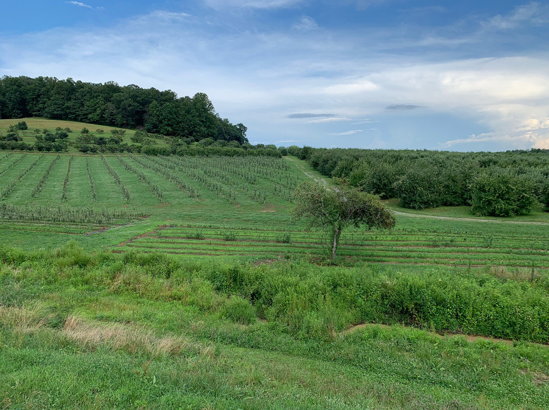 Appalachian Ridge Artisan Hard Cider景点图片