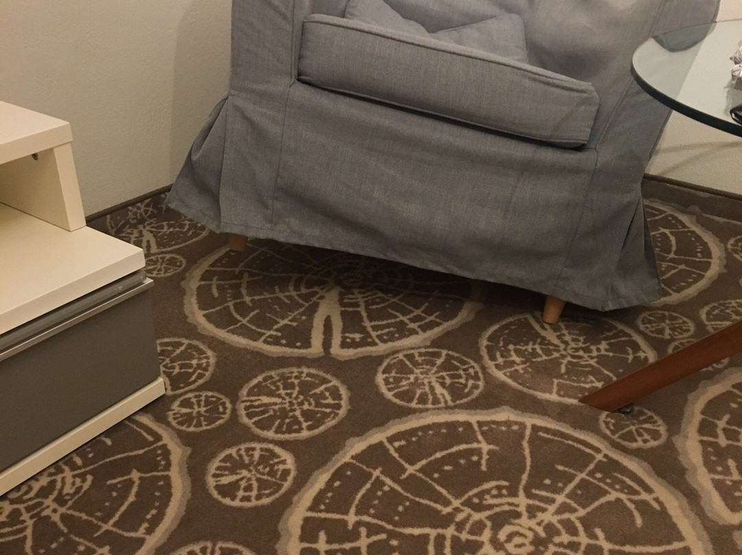 Boutique Hotel Erla主图