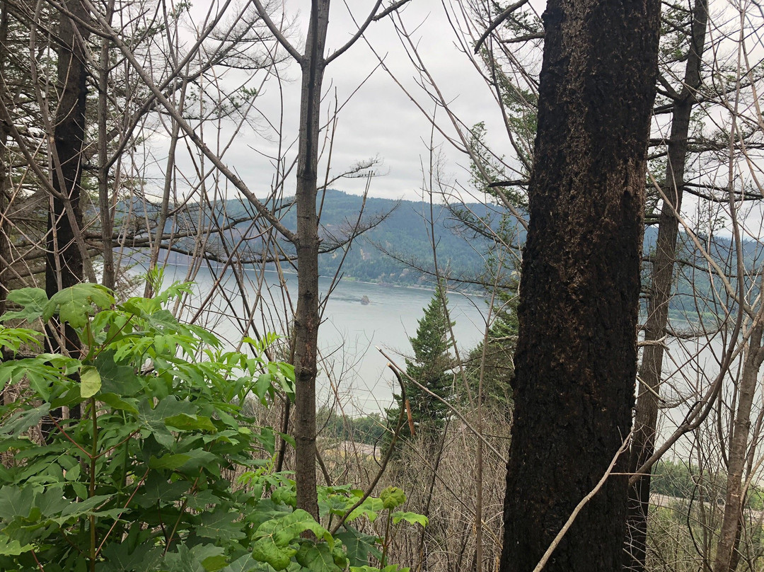 Angels Rest Trail-Bridal Veil必去景点