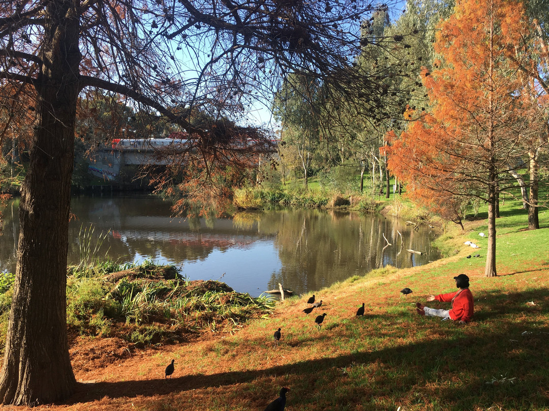 Bonython Park-阿德莱德必去景点