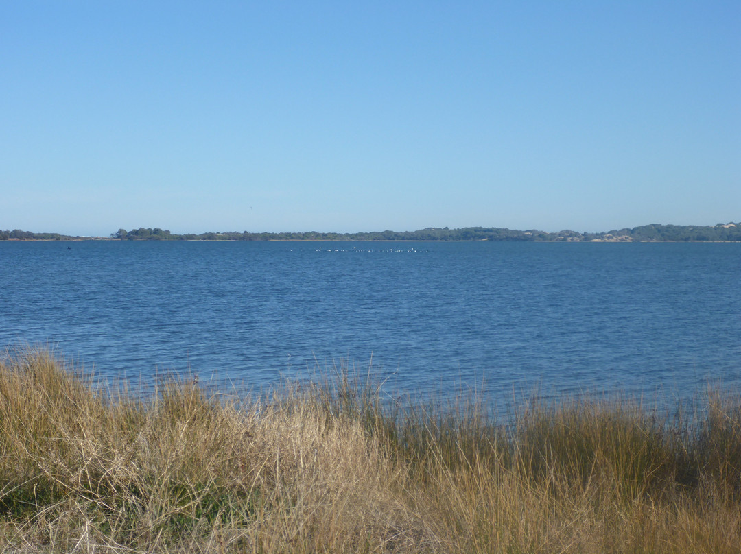 Leschenault Waterways Discovery Centre & Jetty Walk景点图片