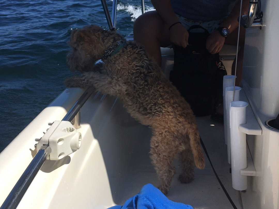 Donner Lake Watersports & Marina-特拉基必去景点