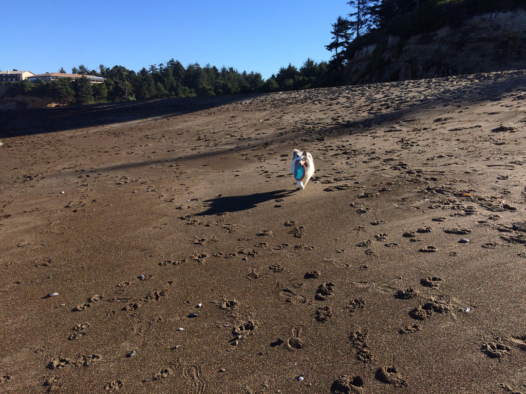 Fogarty Creek State Recreation Area-Depoe Bay必去景点