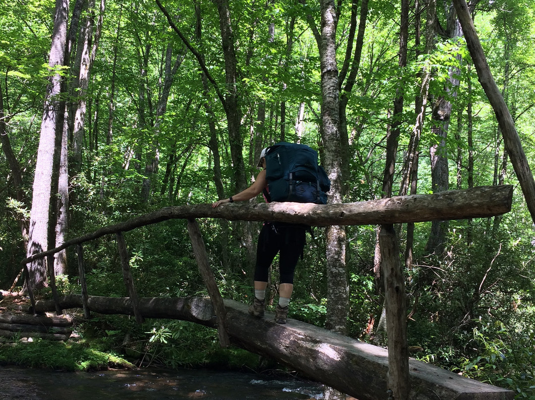 Big Fork Ridge Loop Trail-大雾山国家公园必去景点