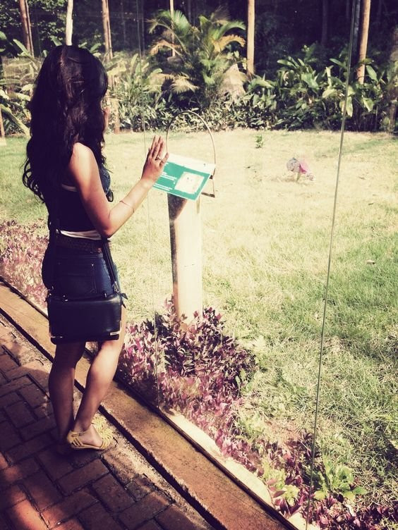 BioParque Vale Amazônia-Parauapebas必去景点