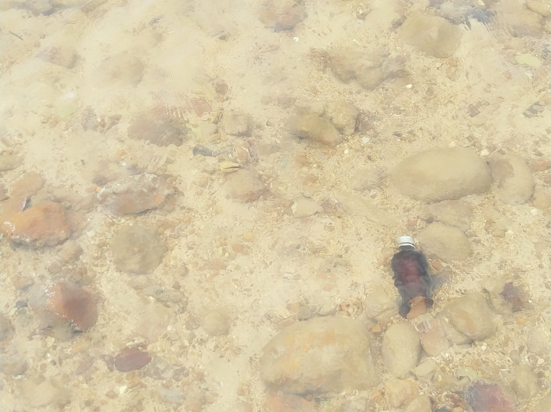 Eco Village Iriomote主图