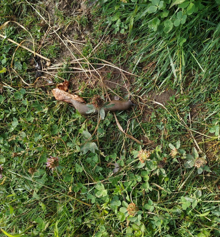 Aastha Home Stay主图