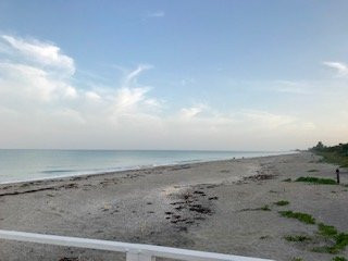 Pearl Beach Inn主图