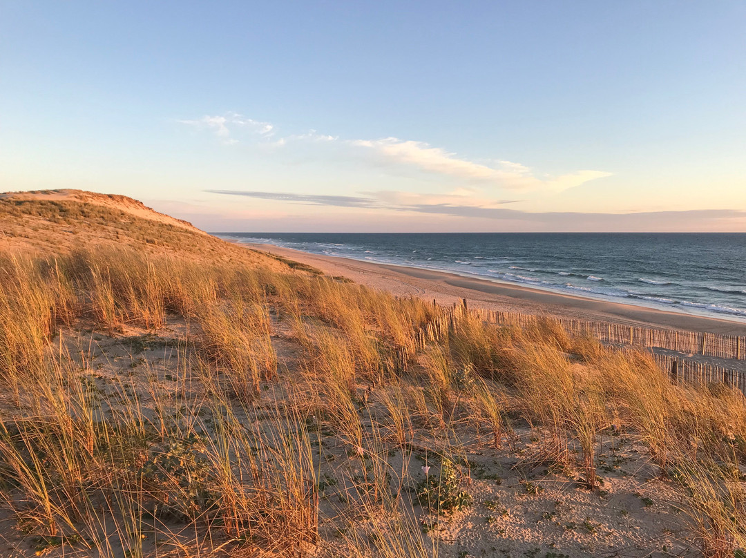 Plage du Pin Sec-Naujac-sur-Mer必去景点