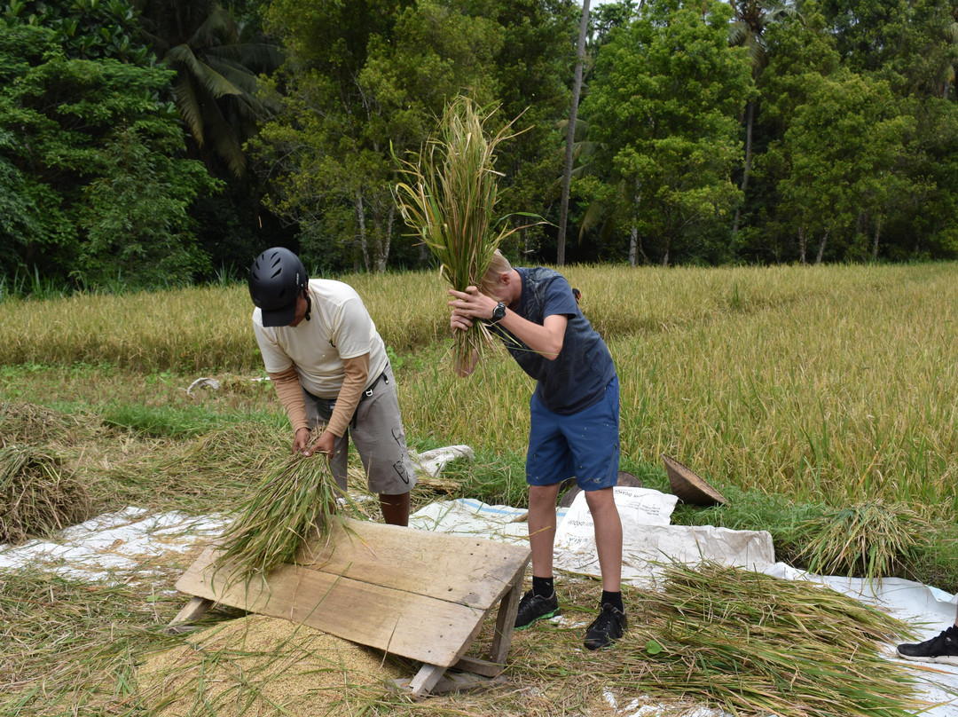 Travelxism Sustainable Tour-Yogyakarta必去景点