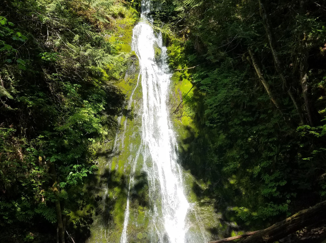 Madison Creek Falls景点图片