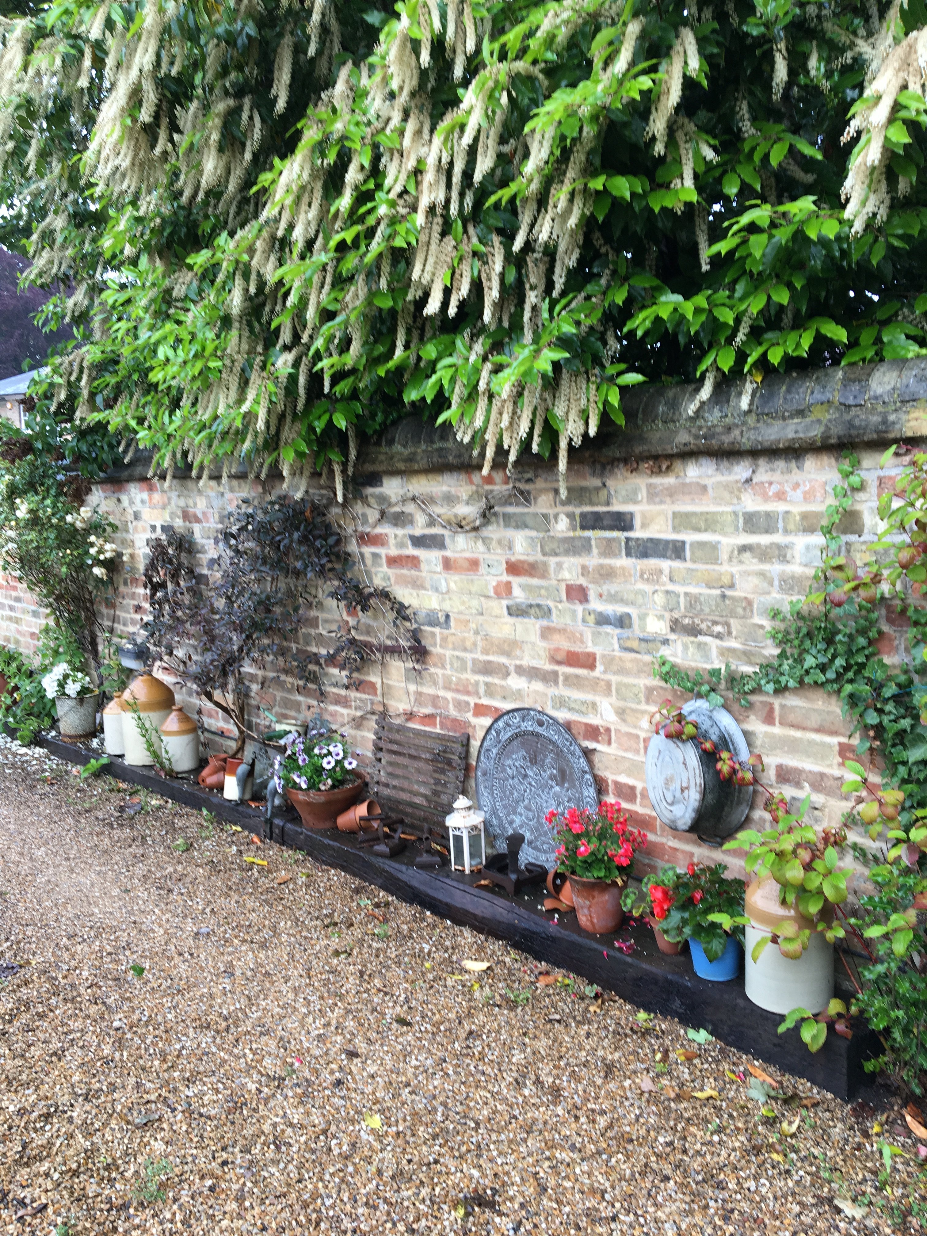 The Willow Guest House-官方