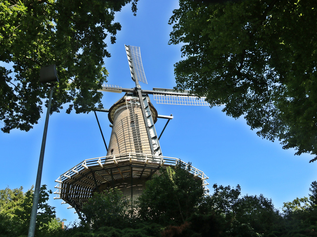 Molen van Groot (Piet)景点图片