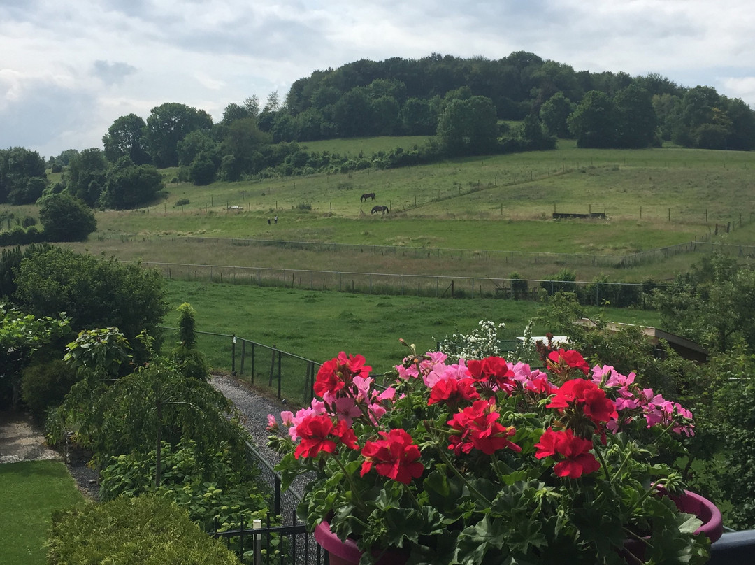 Panorama Sousberg B&B主图